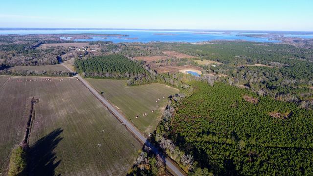 0 Rocks Pond Road Lot S, Eutawville, SC 29048