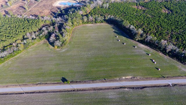 0 Rocks Pond Road Lot S, Eutawville, SC 29048