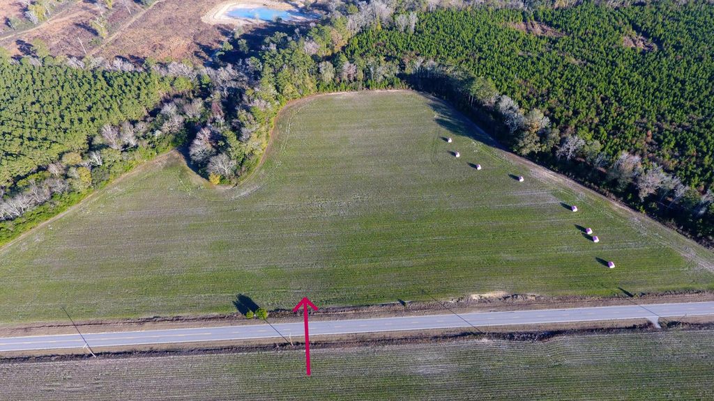 0 Rocks Pond Road Lot S, Eutawville, SC 29048