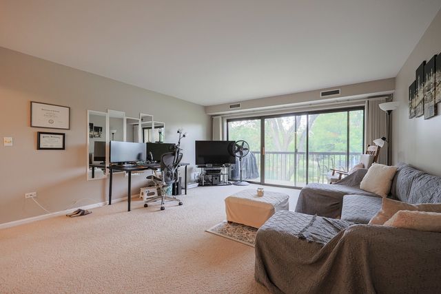 1105 N MILL Street 219, Naperville, IL 60563