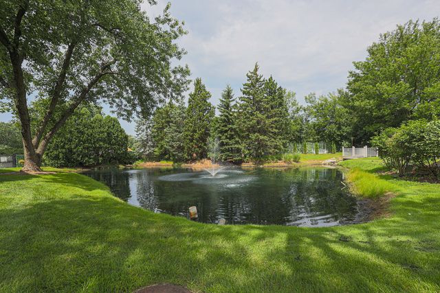 1105 N MILL Street 219, Naperville, IL 60563