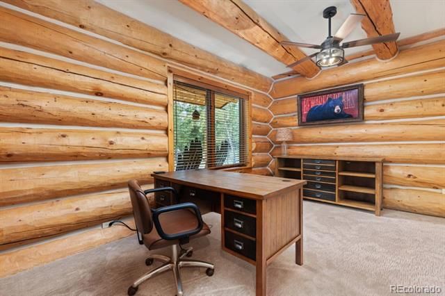 29413 Grayhawk Drive, Evergreen, CO 80439