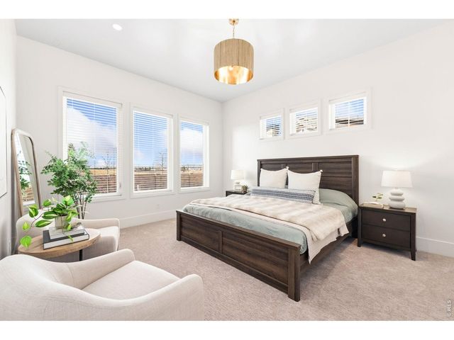 6309 Foundry Ct, Timnath, CO 80547