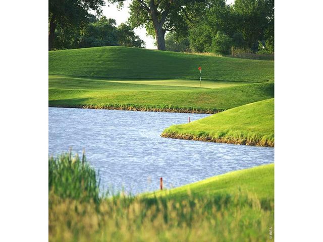 6309 Foundry Ct, Timnath, CO 80547