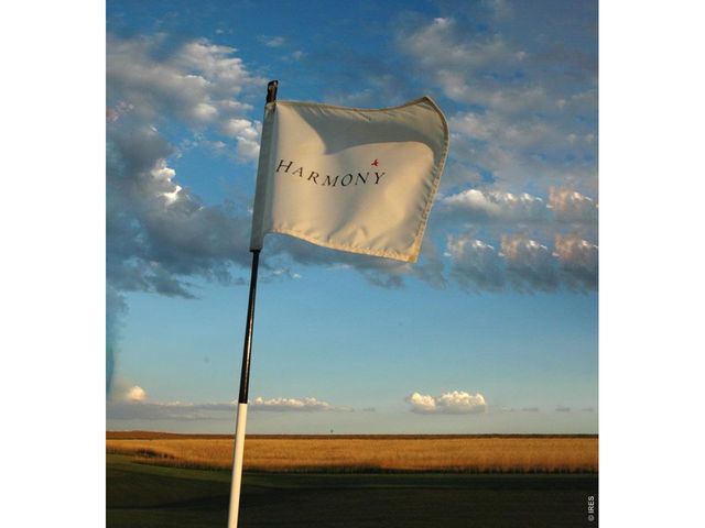 6309 Foundry Ct, Timnath, CO 80547