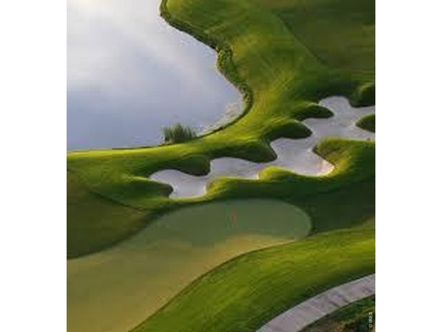 6309 Foundry Ct, Timnath, CO 80547