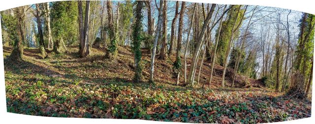 1030 East Bay Drive NE, Olympia, WA 98506