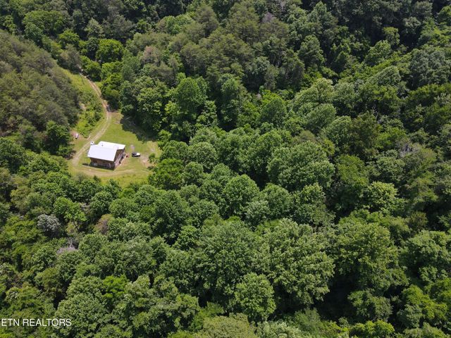 453 Trentham Hollow Rd, Parrottsville, TN 37843
