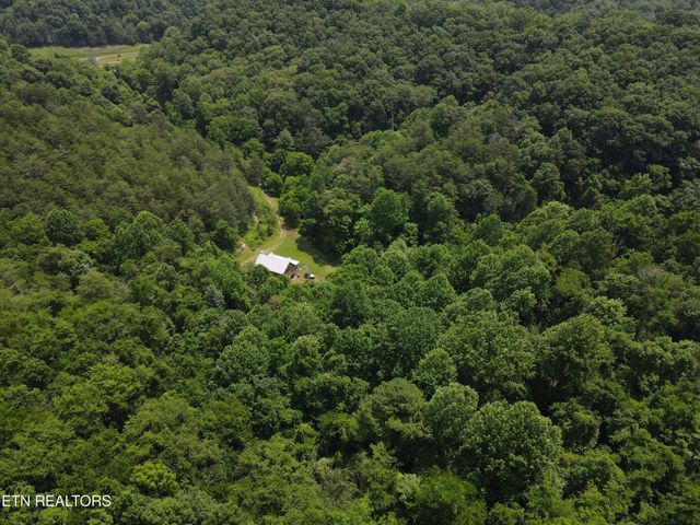 453 Trentham Hollow Rd, Parrottsville, TN 37843