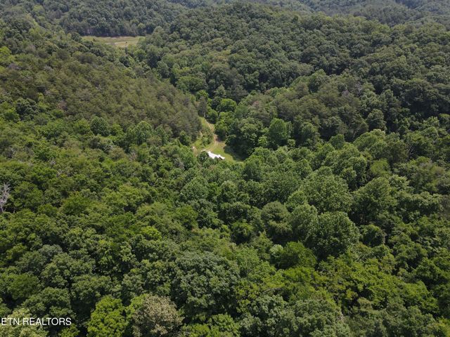 453 Trentham Hollow Rd, Parrottsville, TN 37843