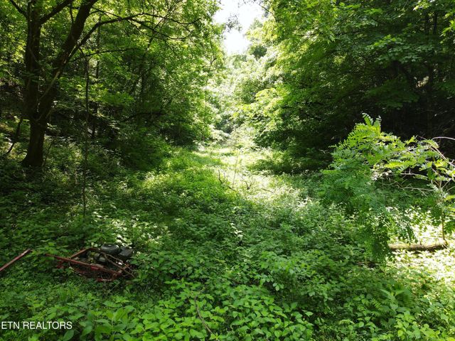 453 Trentham Hollow Rd, Parrottsville, TN 37843
