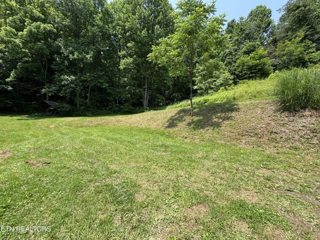 453 Trentham Hollow Rd, Parrottsville, TN 37843