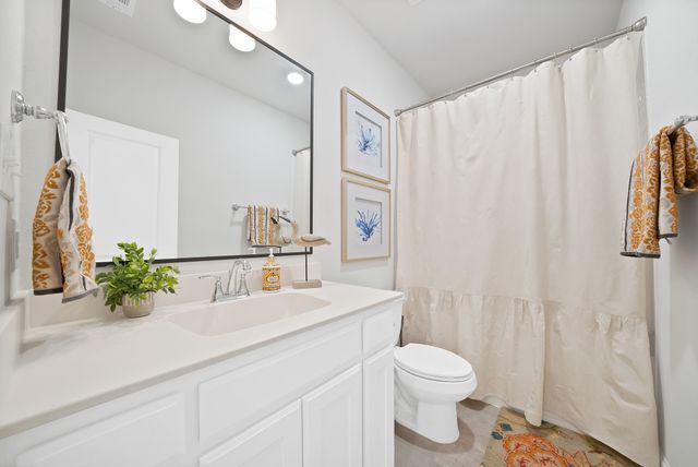 11705 Sand Cat Court, Godley, TX 76044