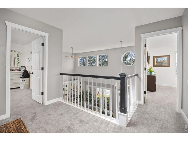 676 Trappers Pl, Windsor, CO 80550