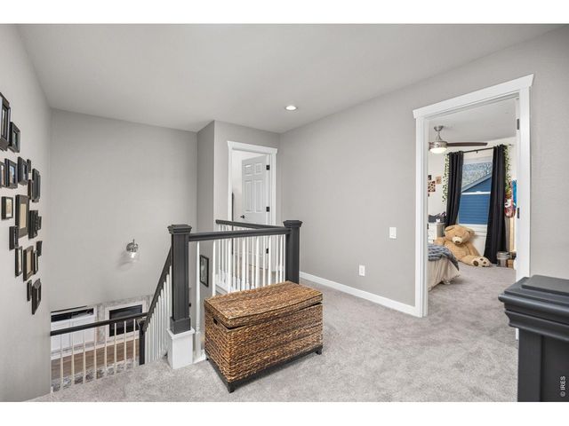 676 Trappers Pl, Windsor, CO 80550
