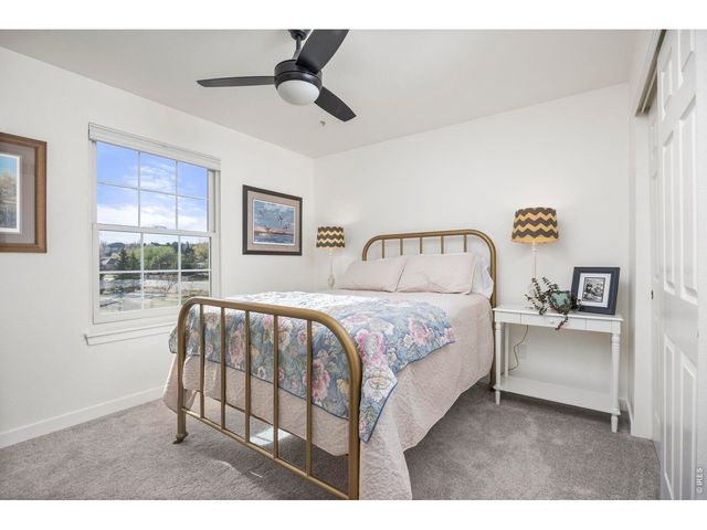 676 Trappers Pl, Windsor, CO 80550