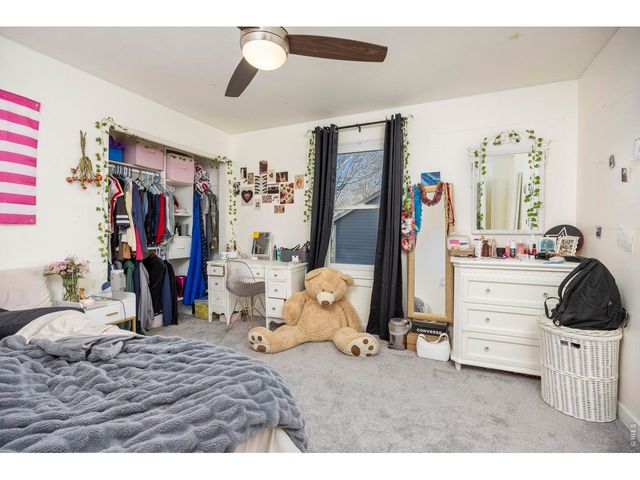 676 Trappers Pl, Windsor, CO 80550