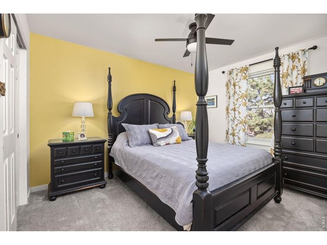 676 Trappers Pl, Windsor, CO 80550