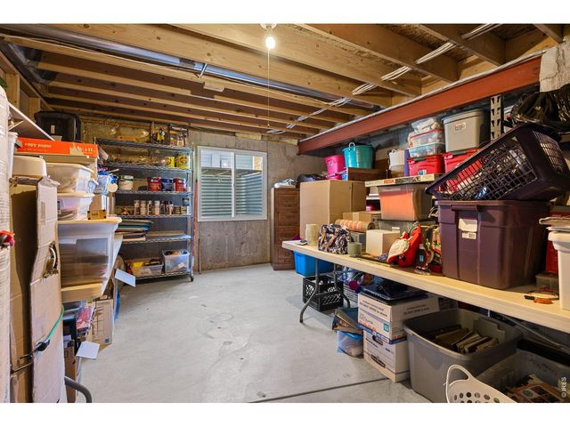 676 Trappers Pl, Windsor, CO 80550