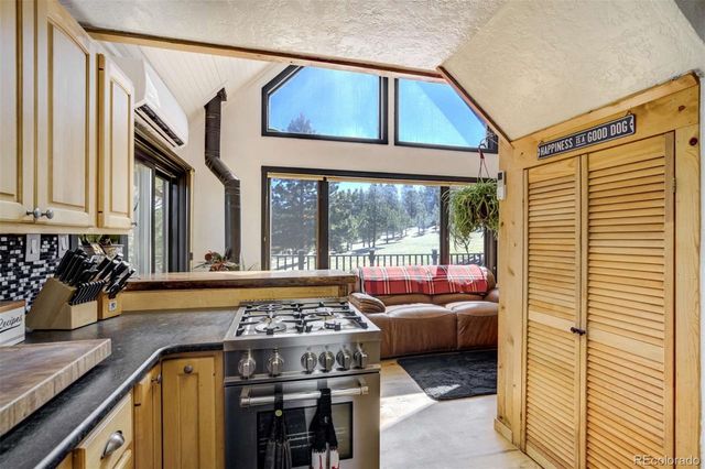 1726 County Road 104, Guffey, CO 80820