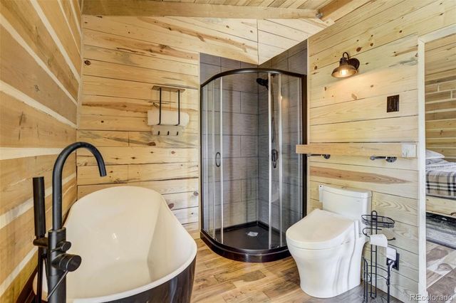 1726 County Road 104, Guffey, CO 80820