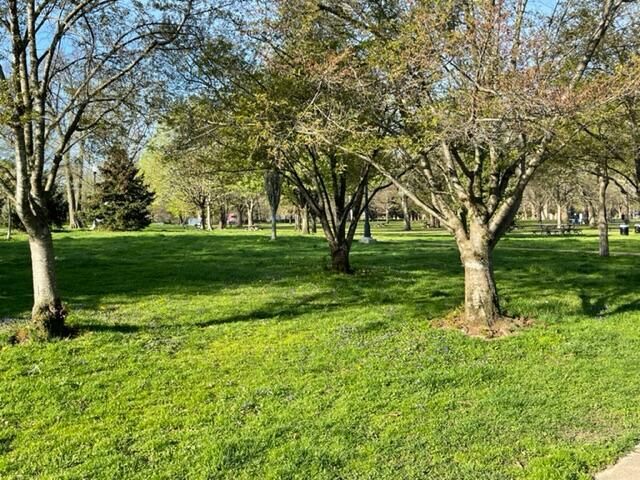 172 Reinhard Avenue, 172, Columbus, OH 43206