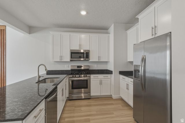 3779 W PURE NIRVANA LN, Herriman, UT 84096