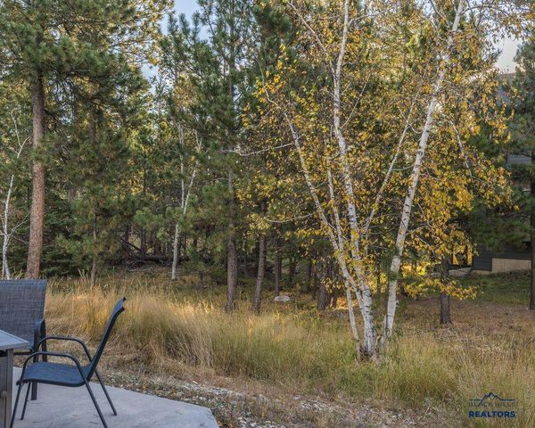 21266 RIDGEWOOD TR, Lead, SD 57754