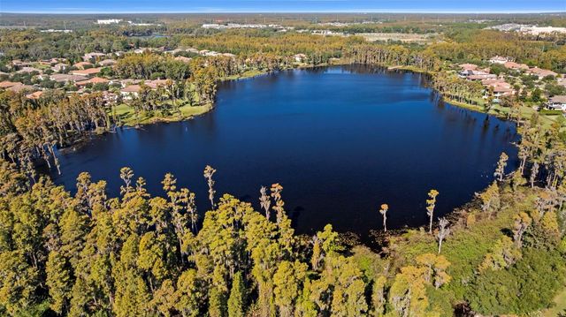 17301 LADERA ESTATES BOULEVARD, Lutz, FL 33548