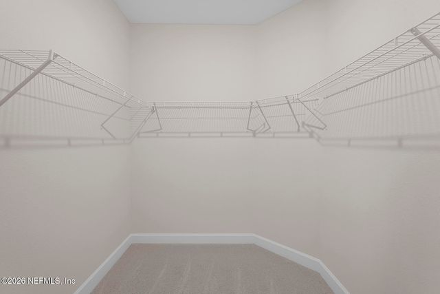 2068 FEATHEREDGE WAY, Middleburg, FL 32068