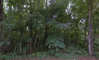 SE 42ND COURT, Belleview, FL 34420