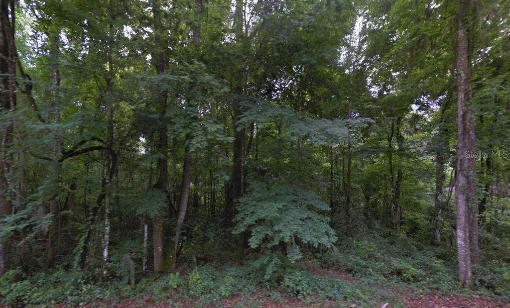 SE 42ND COURT, Belleview, FL 34420