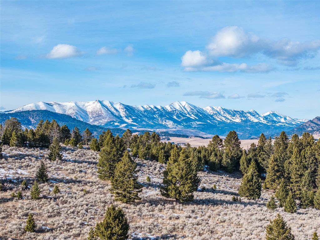 449 Minni Hall Road, Bozeman, MT 59715 photo 4