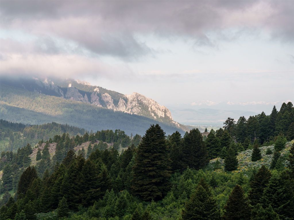 449 Minni Hall Road, Bozeman, MT 59715 photo 46