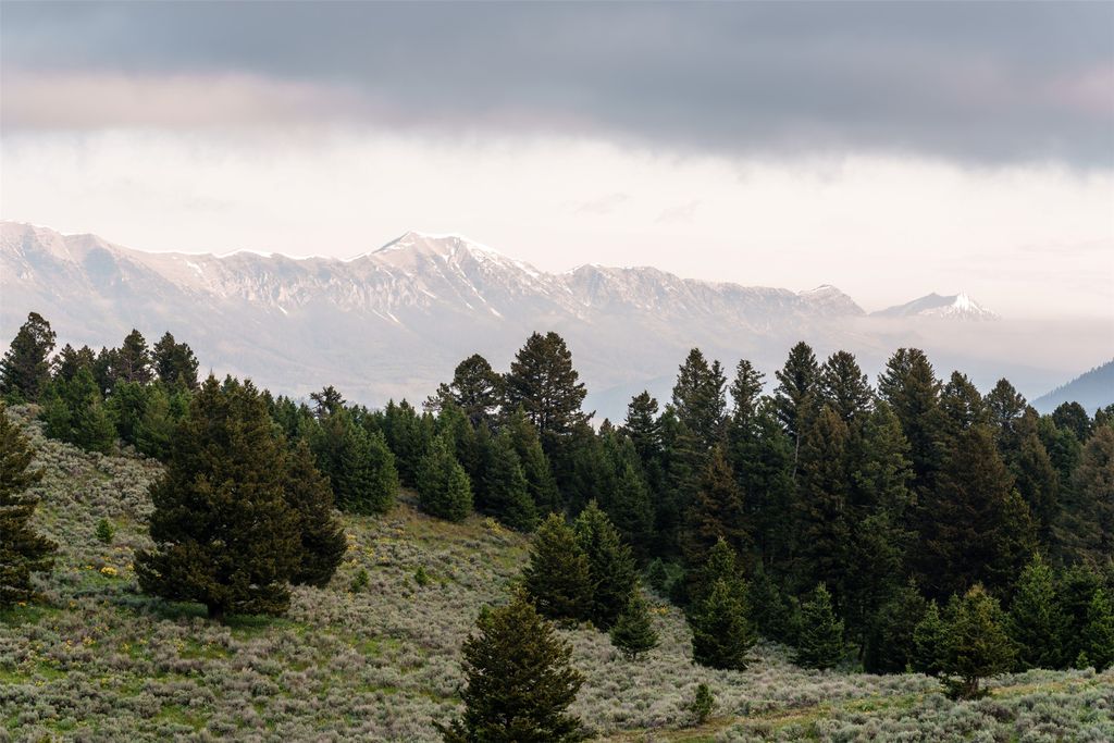 449 Minni Hall Road, Bozeman, MT 59715 photo 61