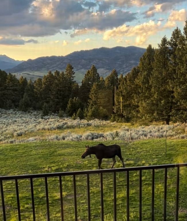 449 Minni Hall Road, Bozeman, MT 59715 photo 64