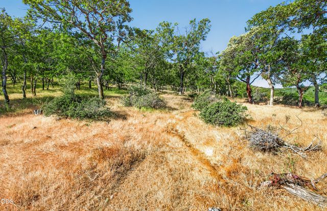 163 Hitt Road, Ashland, OR 97520