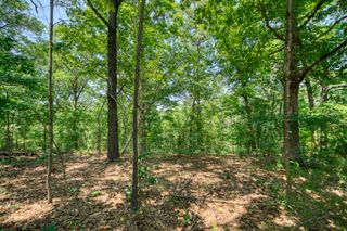 Pine Ridge Lane / C Street, Eureka Springs, AR 72631