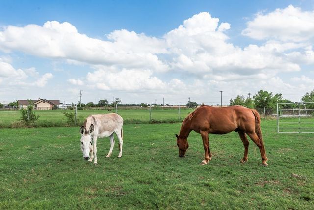 8549 S Fm 548, Royse City, TX 75189