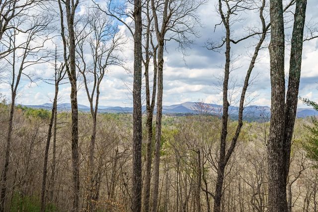 465 Briar Creek Drive, Ellijay, GA 30540