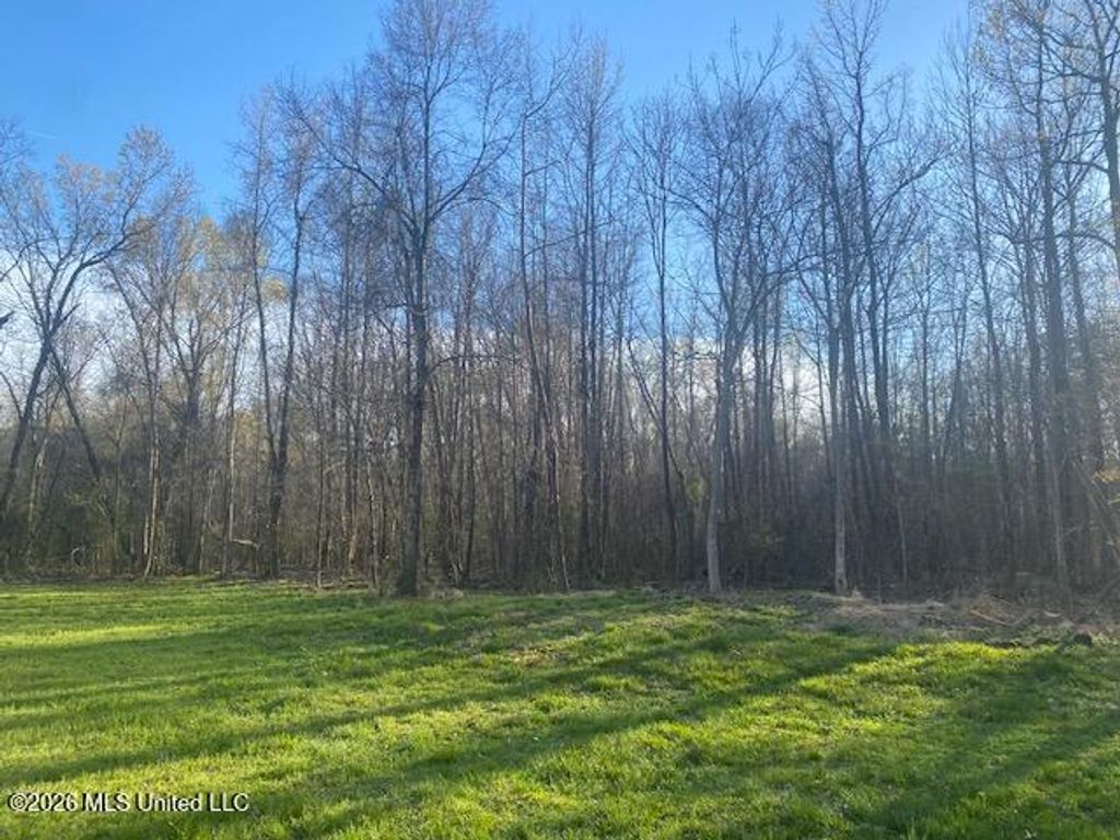 Gaines Road, Hernando, MS 38632 — photo 2
