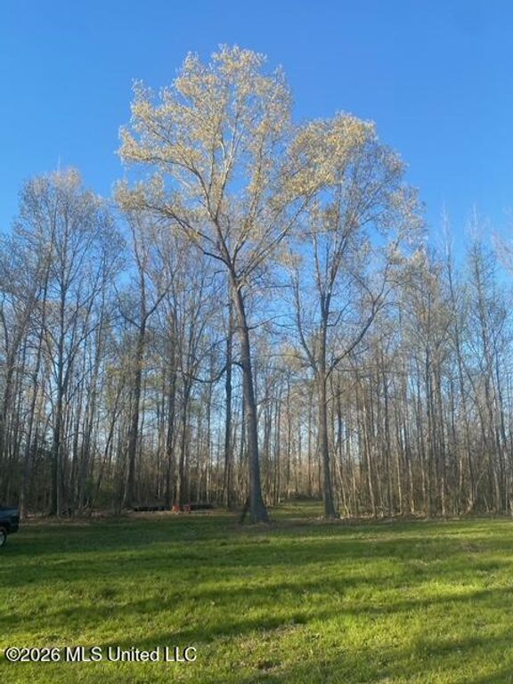 Gaines Road, Hernando, MS 38632 — photo 3