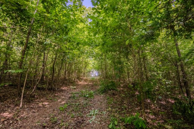 8150 Suckstem Branch Rd, Lawrenceburg, TN 38464
