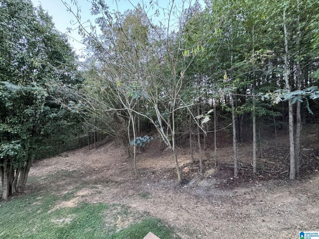 58821 US HWY 231, Oneonta, AL 35121