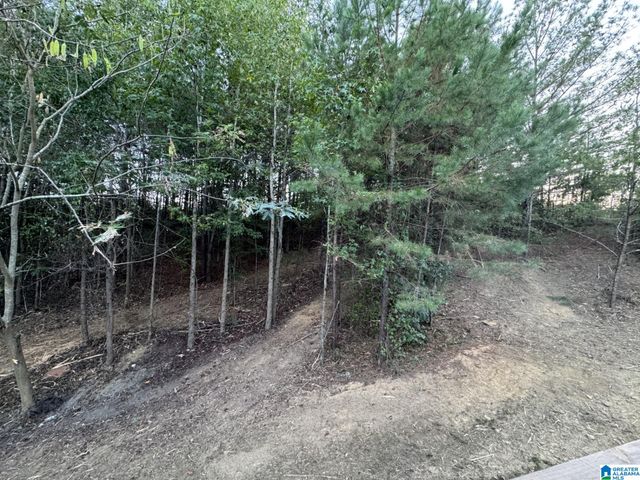 58821 US HWY 231, Oneonta, AL 35121