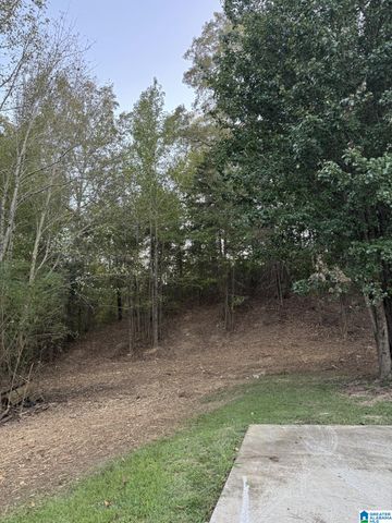 58821 US HWY 231, Oneonta, AL 35121