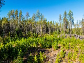 NKA Western Larch Rd, Newport, WA 99156