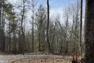 Tract Shadow Ridge, Williamsburg, KY 40769