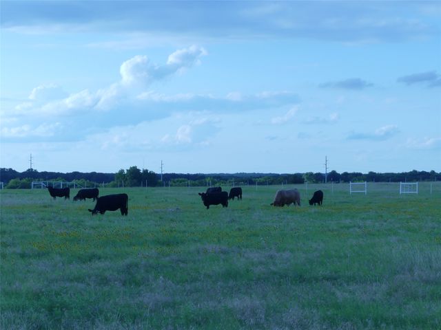 644 Macs Grocery Road, Bowie, TX 76230