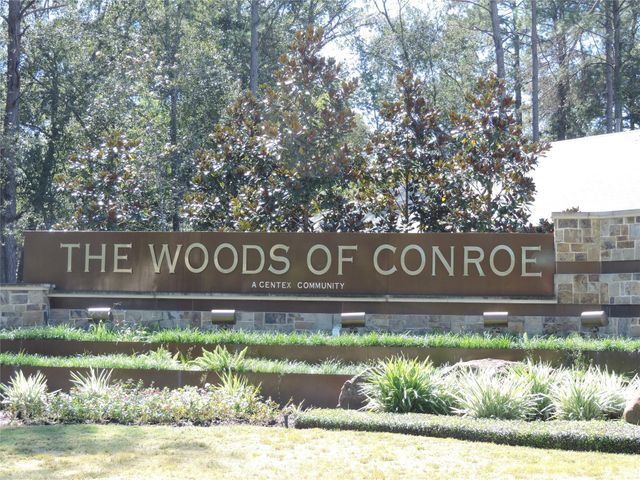 4022 Timber Sapp Drive, Conroe, TX 77304
